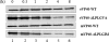 FIG. 7.