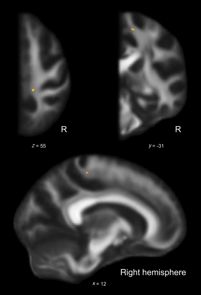 Figure 3.