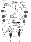 Figure 4.