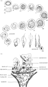 Figure 1.