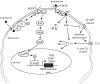 Figure 3.