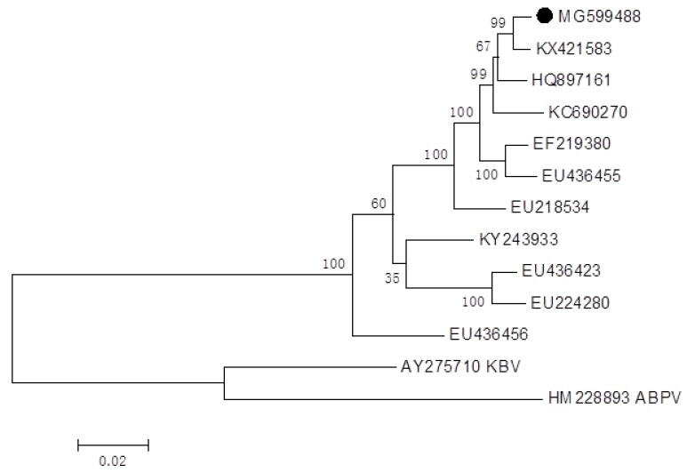 Figure 2