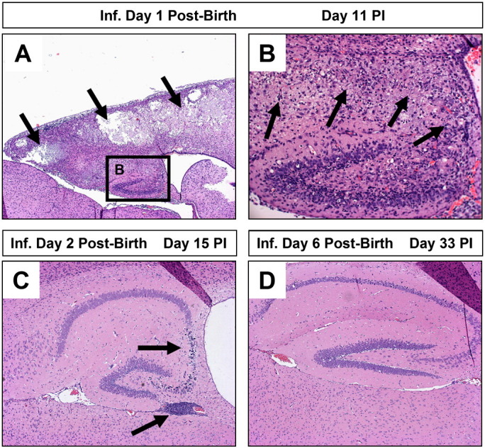 Fig. 4