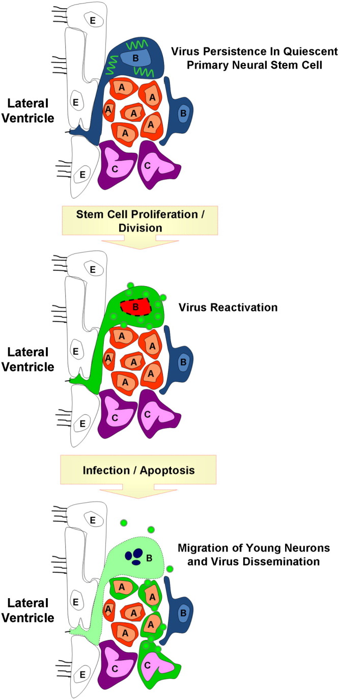 Fig. 3