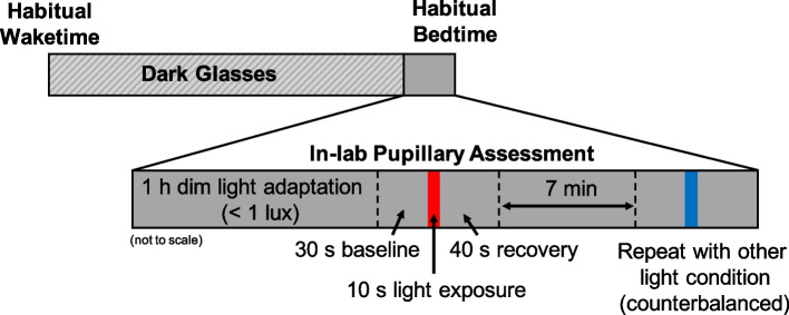 Fig. 1