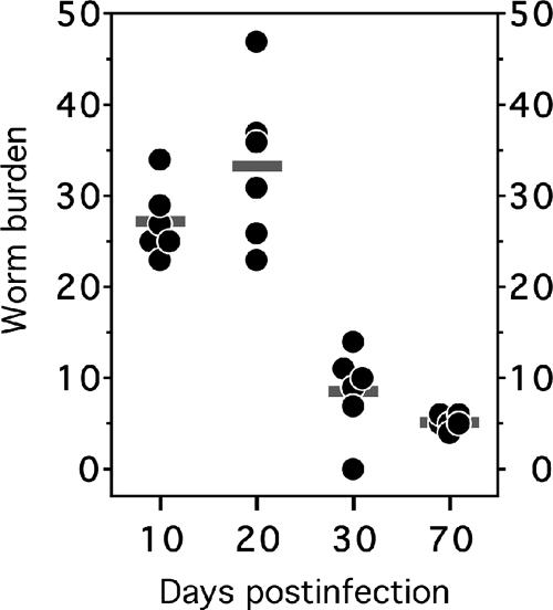 FIG. 1.