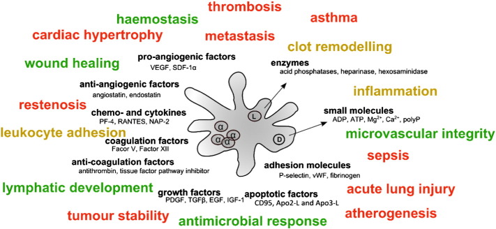 Fig. 4