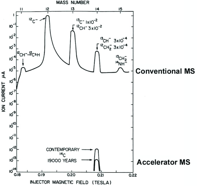 Fig. 14