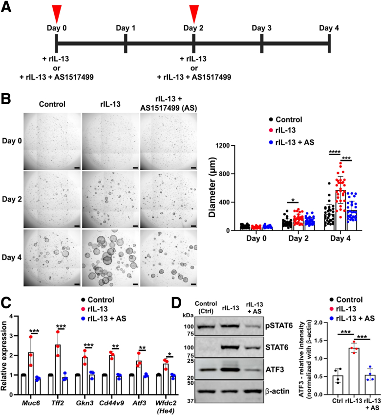 Figure 12