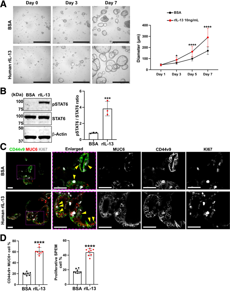 Figure 15