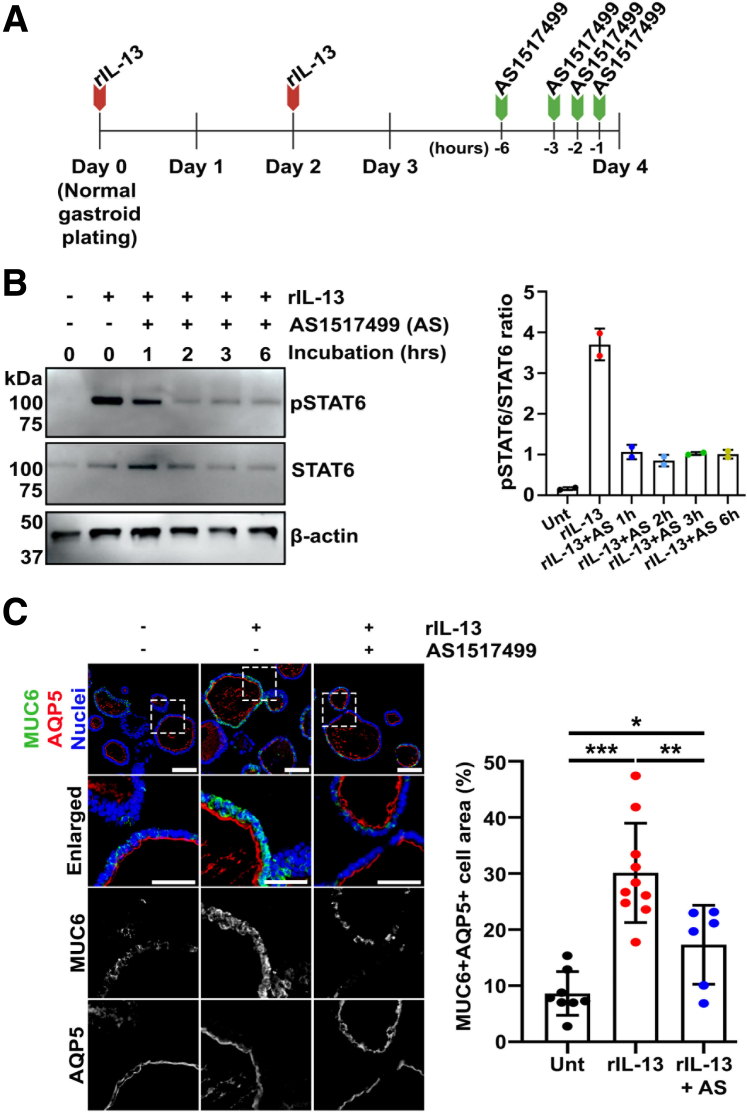 Figure 13