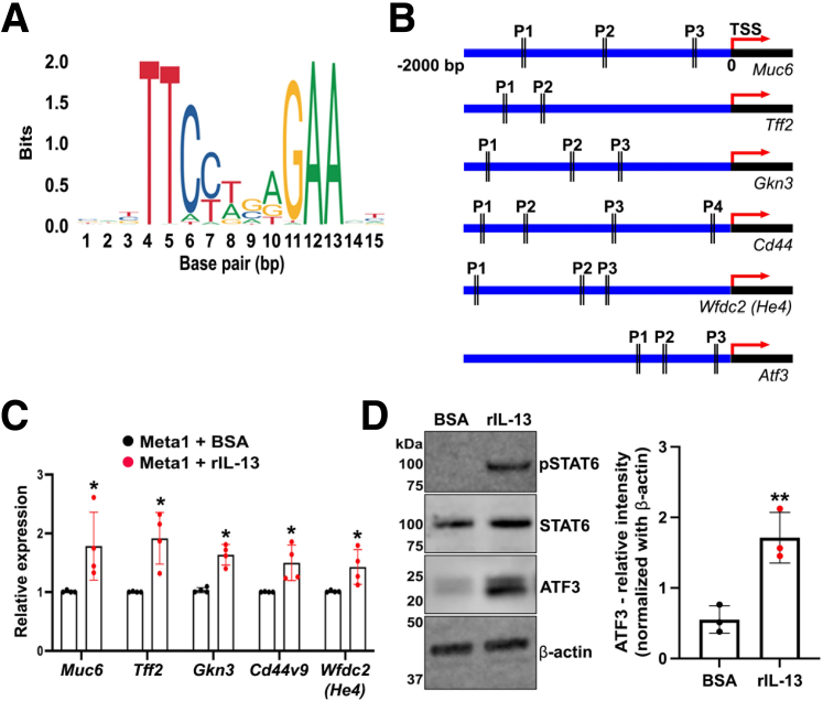 Figure 11