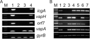 FIG 1
