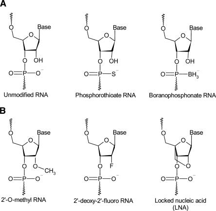 FIGURE 4.