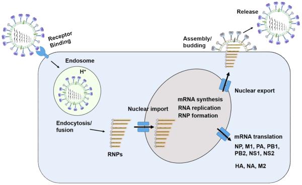 Fig. 2