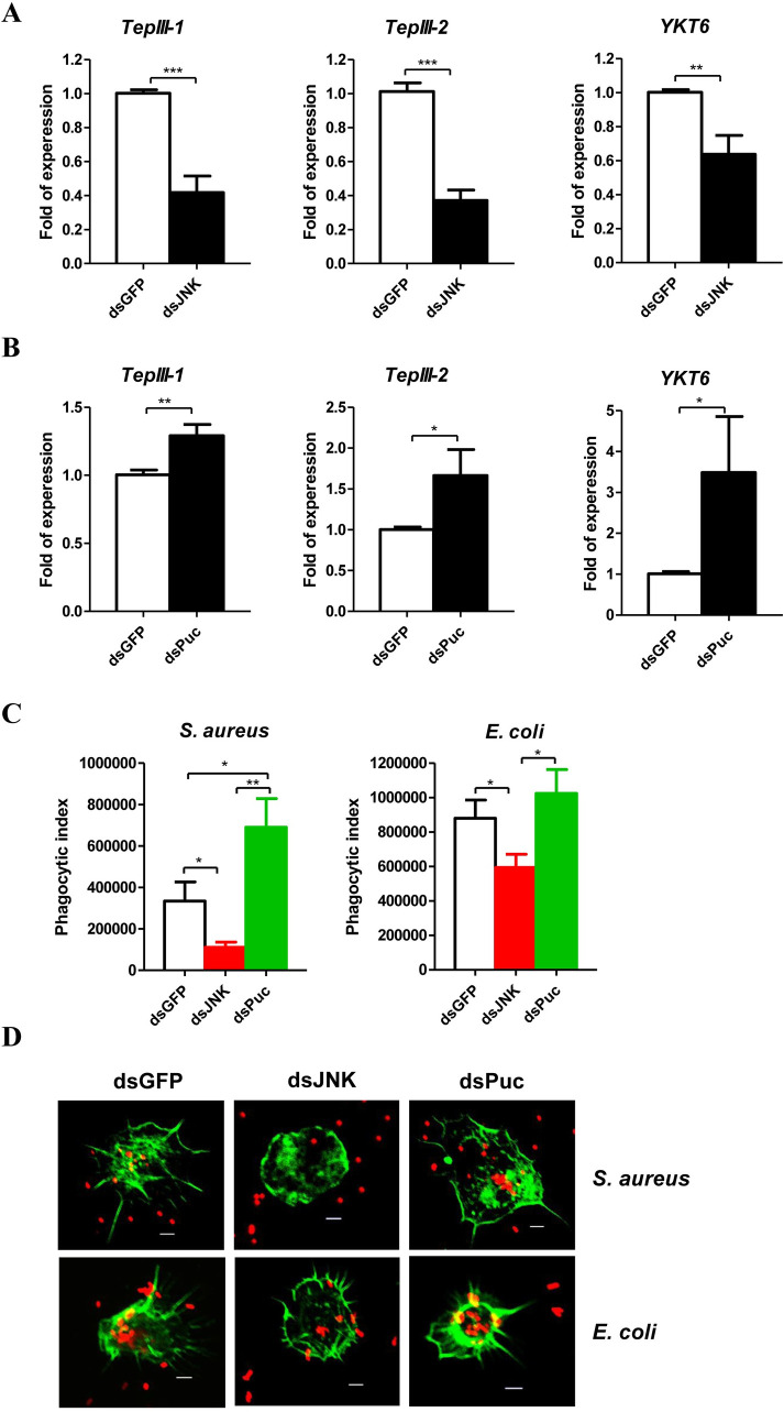 Fig 4