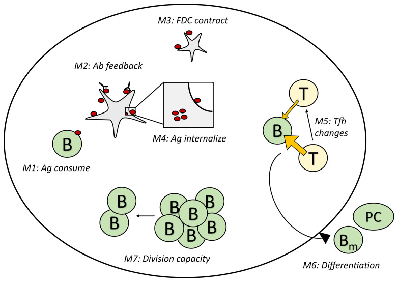 Figure 1