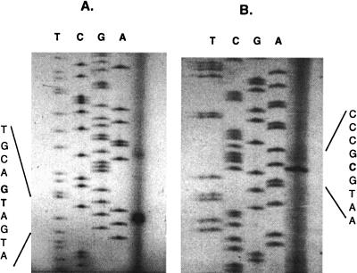 FIG. 5