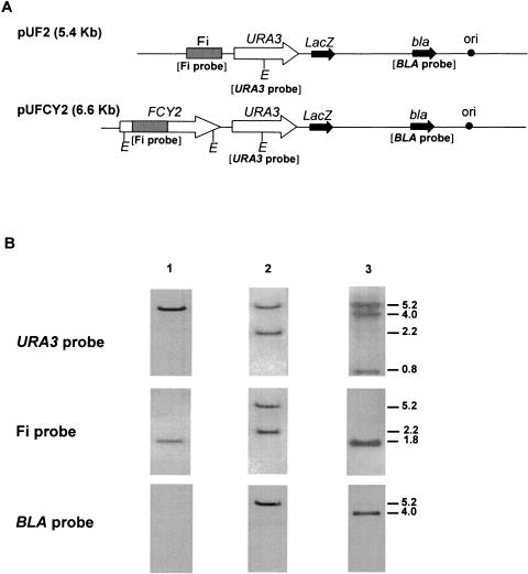 FIG. 3.