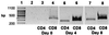 FIG. 8.