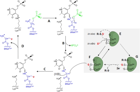 FIGURE 6.