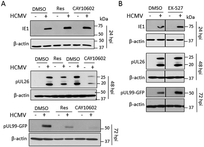 FIG 3 