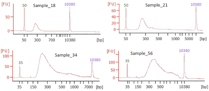 Figure 3: