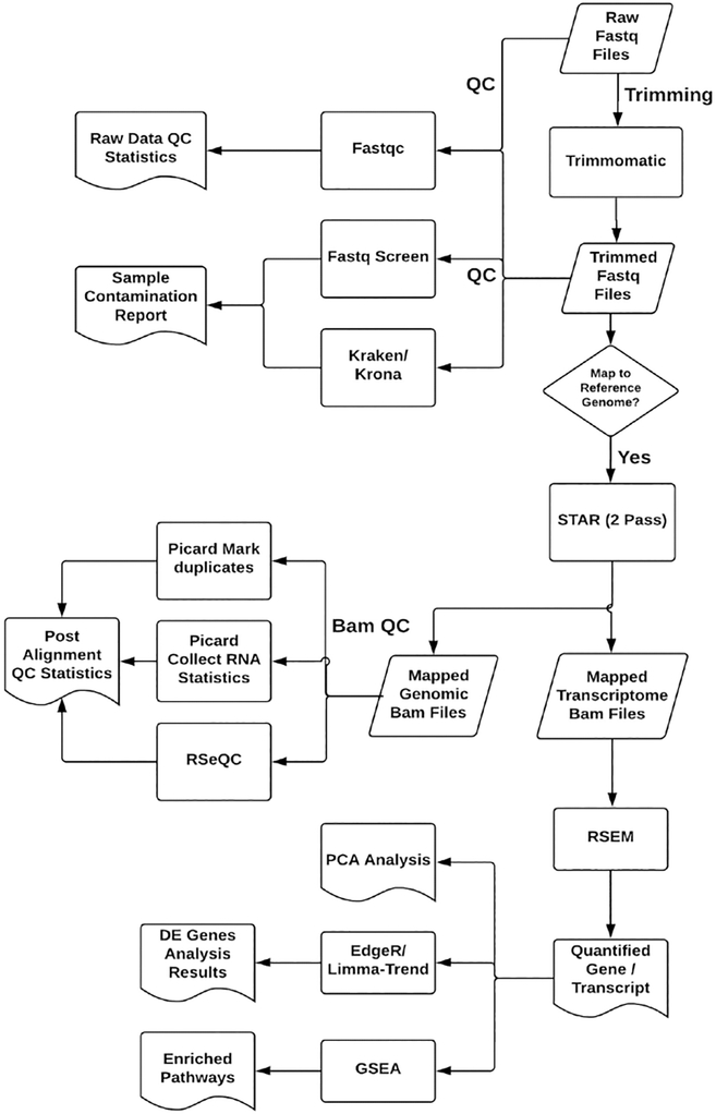 Figure 1: