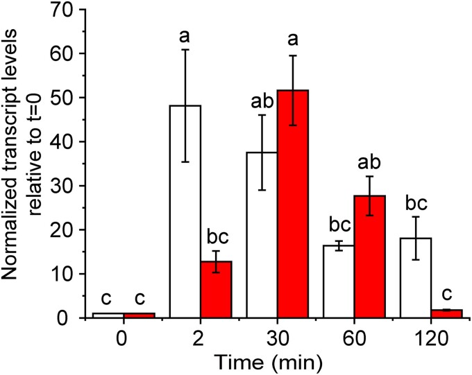 Fig. 1.