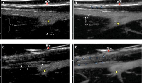 Figure 4