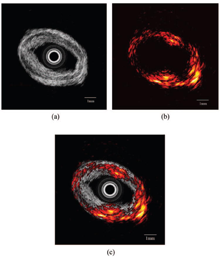 Fig. 8