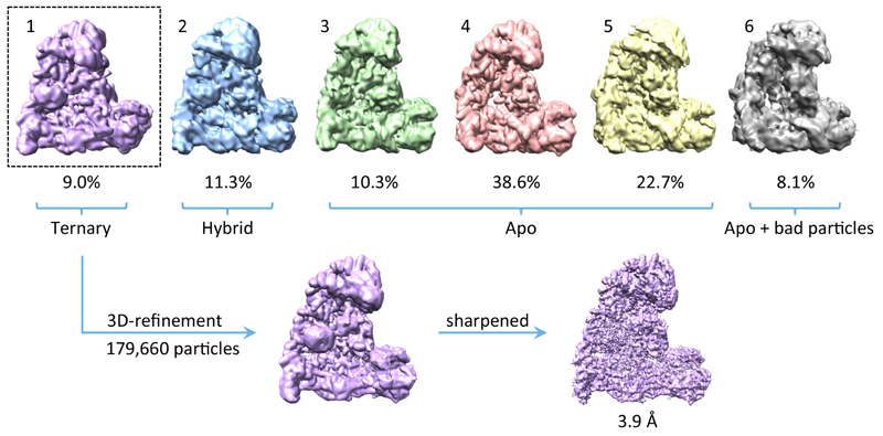 Extended Data Figure 2