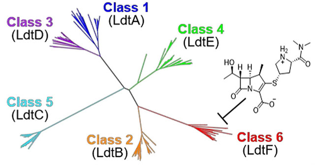 graphic file with name nihms-1059511-f0006.jpg