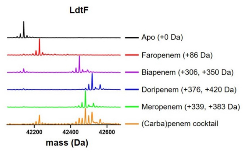 Figure 4.