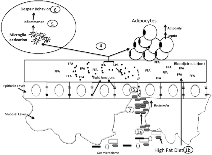 Figure 7