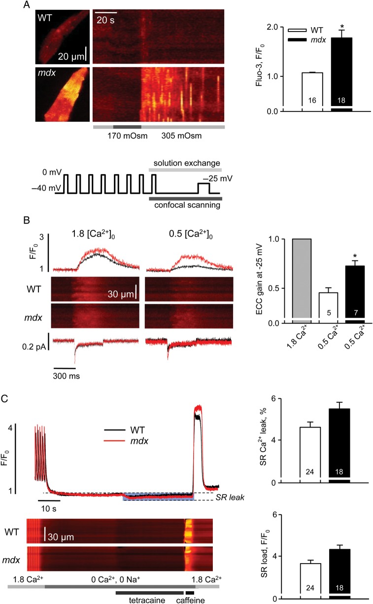 Figure 1