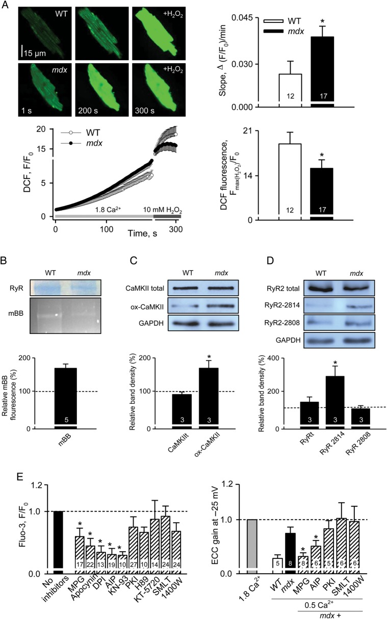 Figure 2