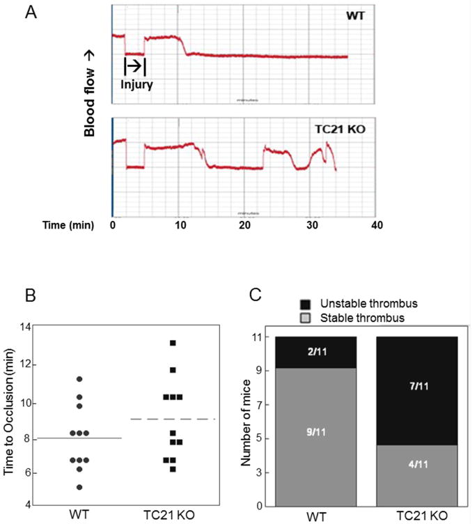 Fig. 8