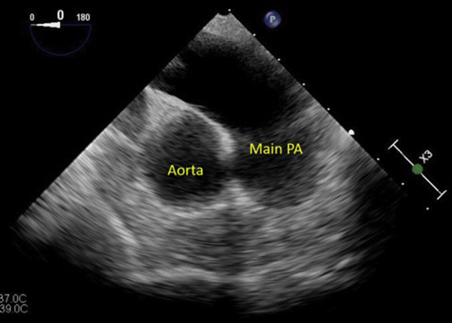 Figure 5