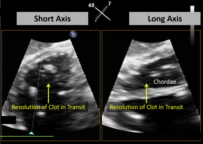 Figure 6