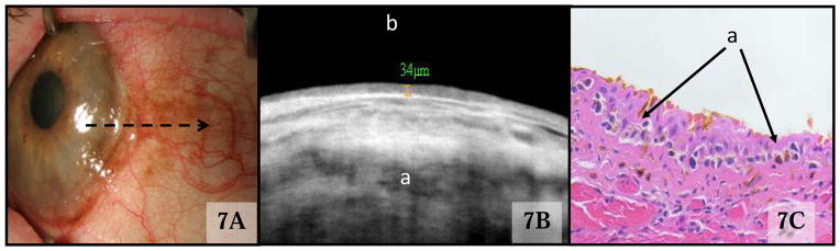 Figure 7