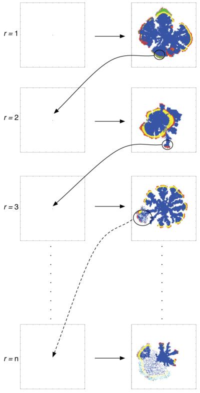 Fig. 10