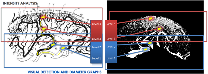 Fig. 5