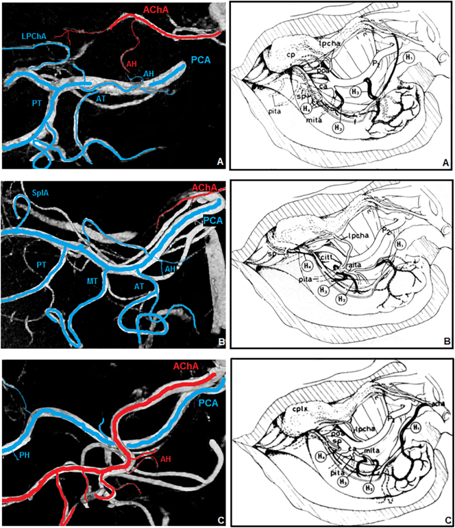 Fig. 7