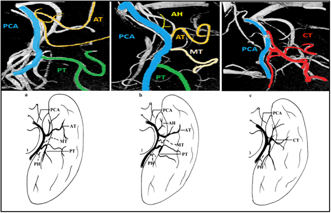 Fig. 8