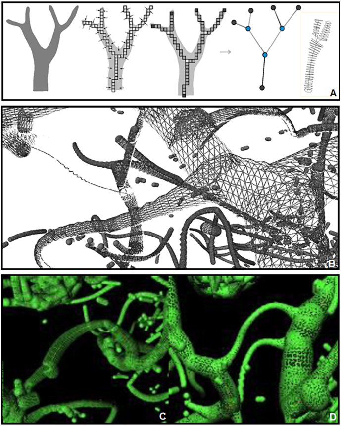 Fig. 4