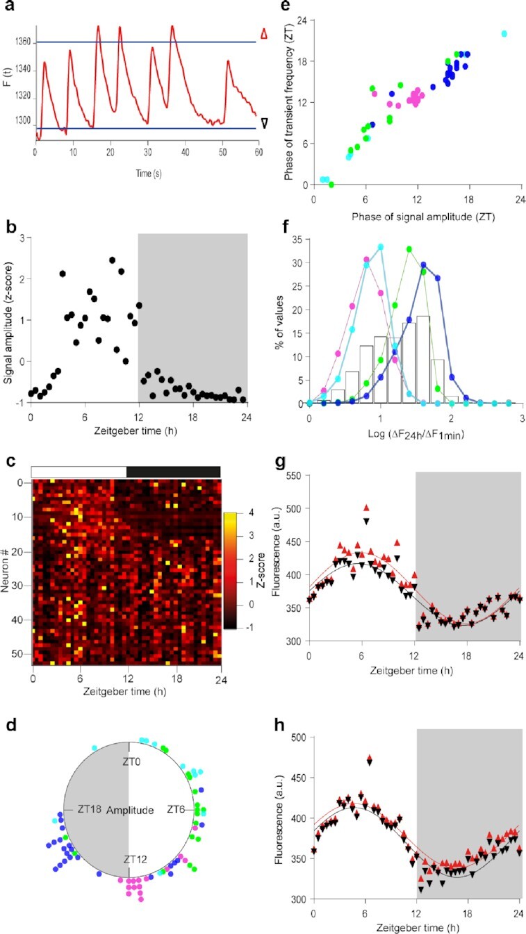 Fig. 2.