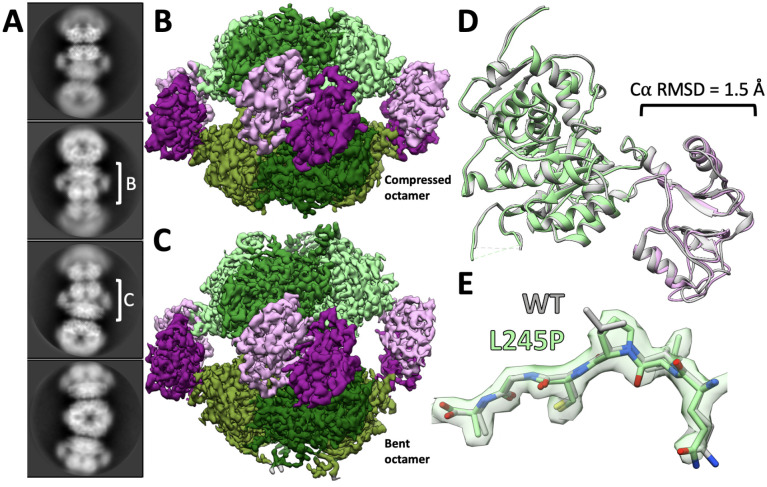 Fig. 7.