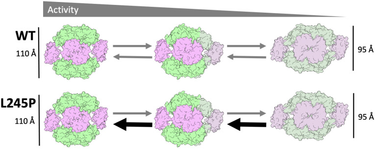 Fig. 8.