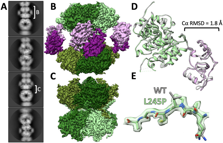 Fig. 6.